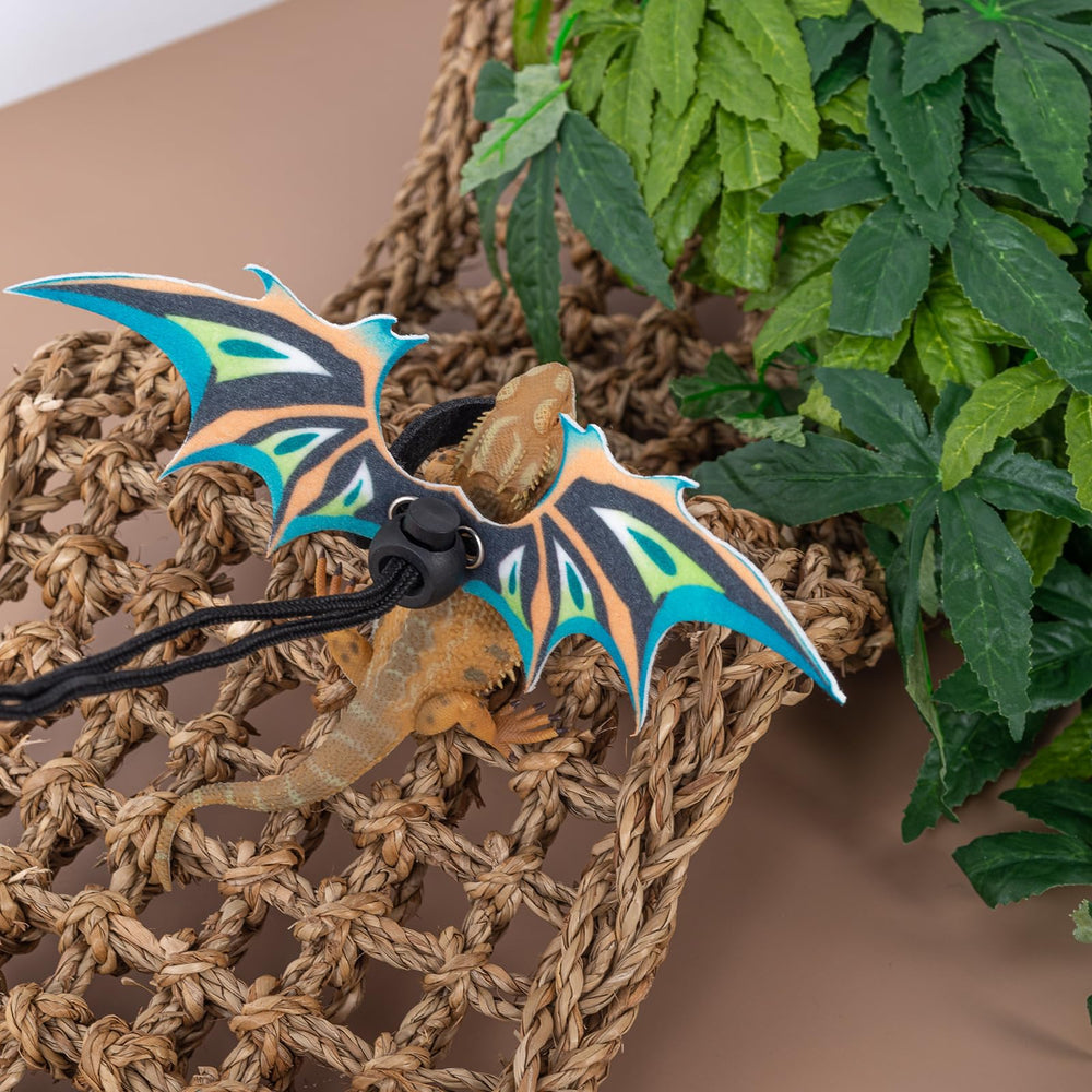 COMSUN outdoor-walk setup helps bearded dragons explore safely and enjoyably.