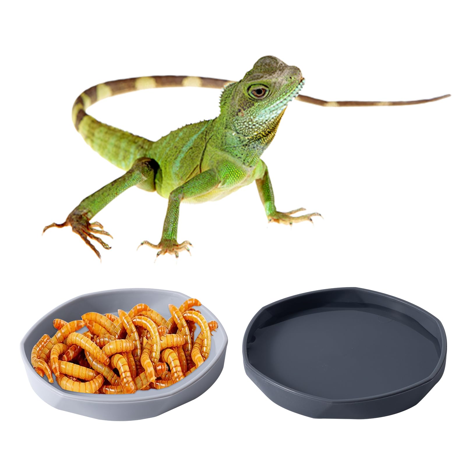 COMSUN plastic reptile dish colors variety setup for different species