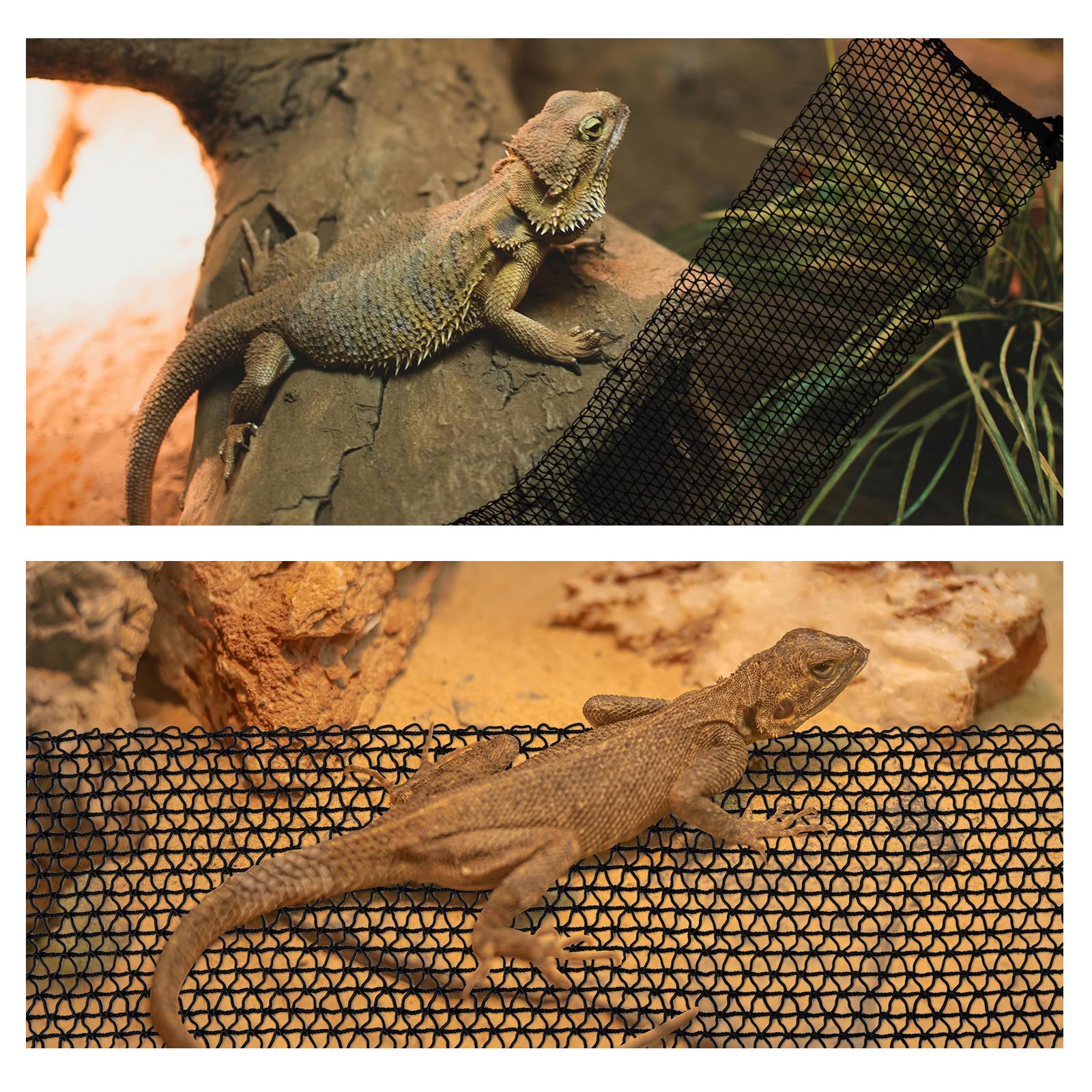 COMSUN reptile hammock pet observation, watch basking clearly