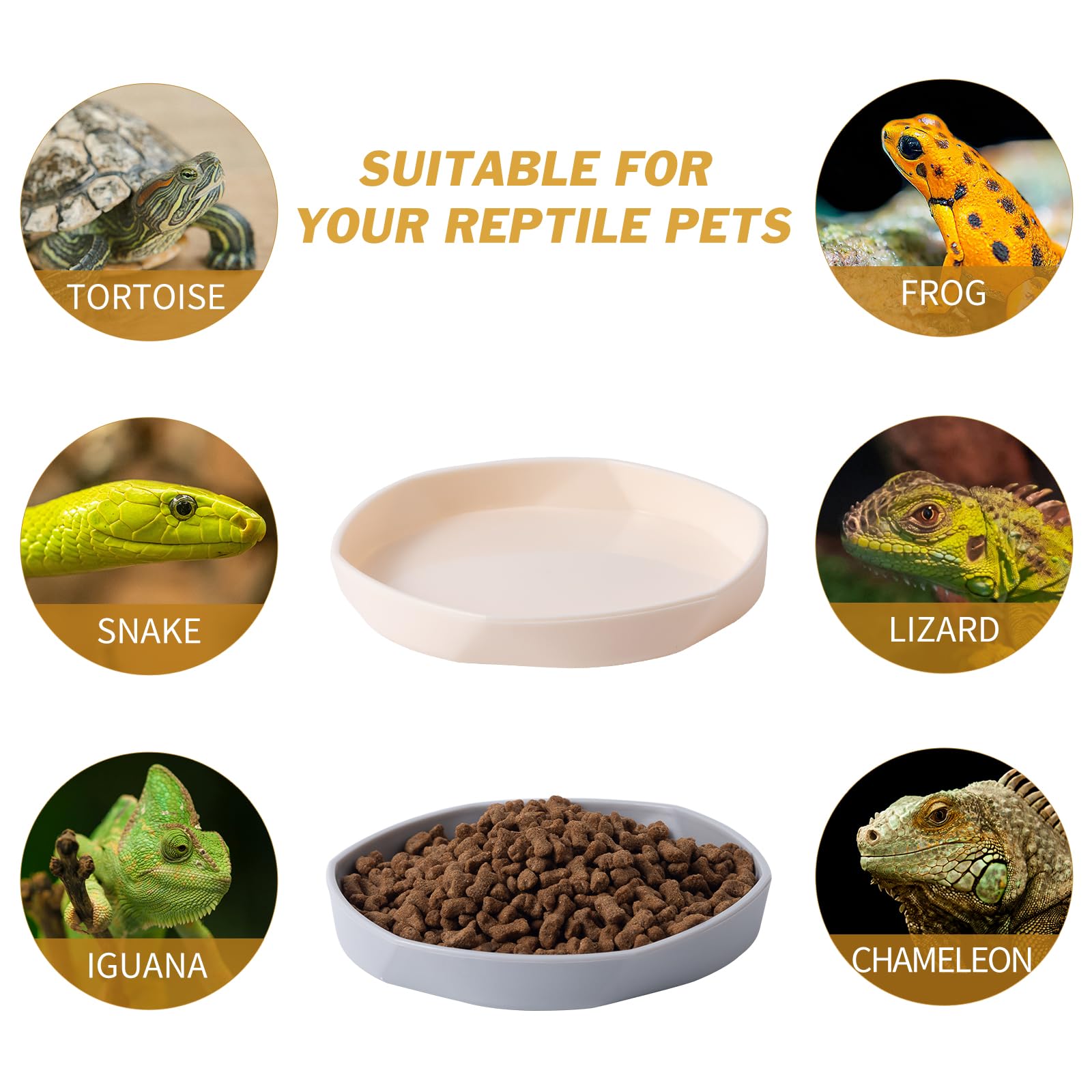 COMSUN reptile water and worm bowl broad compatibility in terrarium
