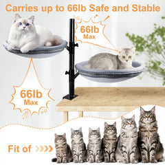 COMTAR large cat desk bed adjustable perch height for eye-level viewing.
