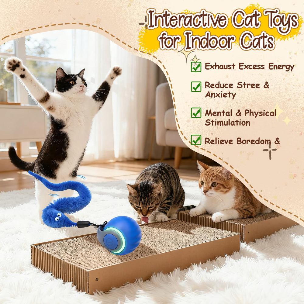 CONAMEI interactive cat toys ball blue durable-material withstands rough play