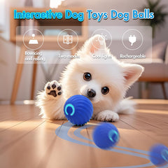 CONAMEI Dog Ball two-covers setup highlights durability and longer play sessions.