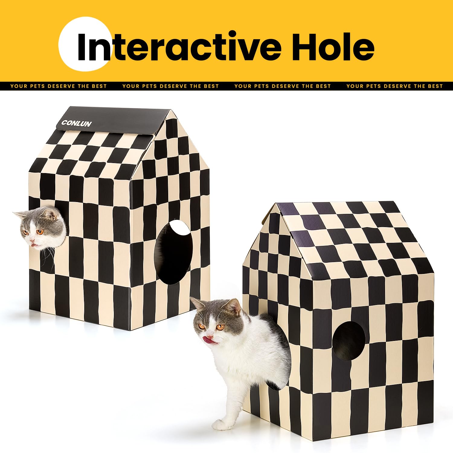 Conlun multiple-entry holes encourage curiosity and playful surveying behaviors.