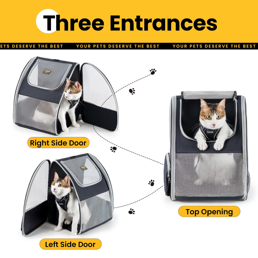 Conlun cat backpack in expanded design highlighting space for small pets