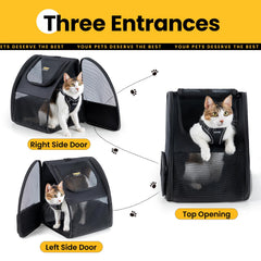 Conlun cat backpack top view reveals spacious interior for small pets.