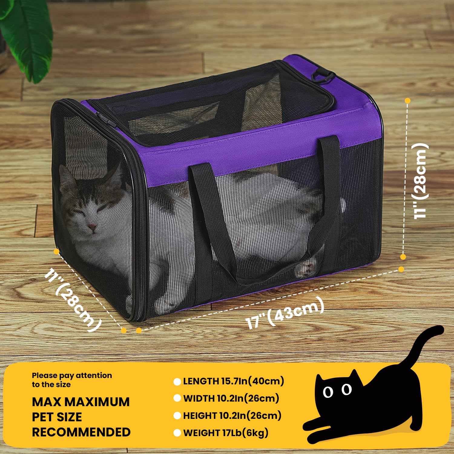 Conlun carrier shows top and side openings for easy entry and ventilation.