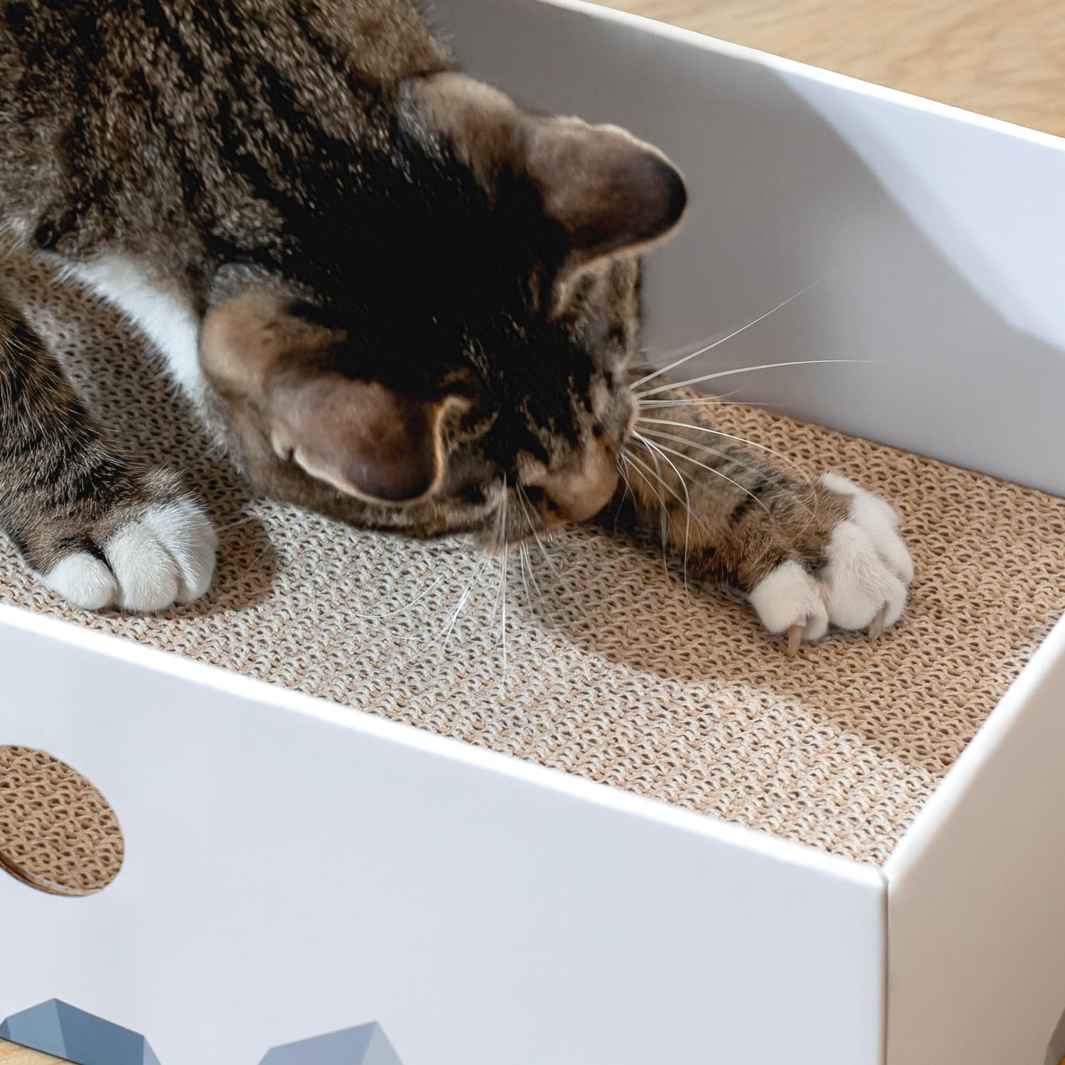 Conlun Cat Scratcher Box two patterns add home-style variety