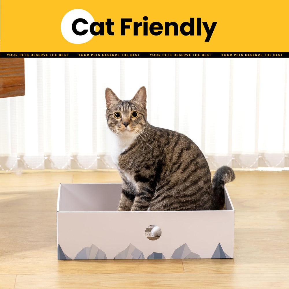 Conlun Cat Scratcher Box two sizes accommodate different homes