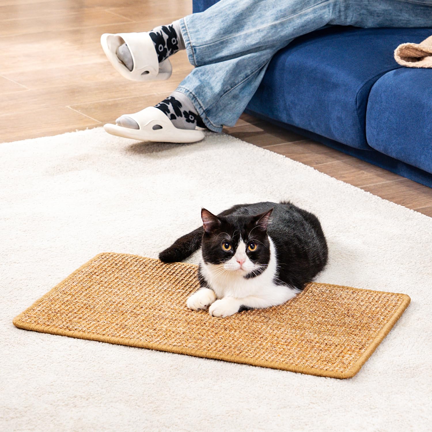 Conlun Cat Scratcher Mat gift-ready packaging for cat lovers.