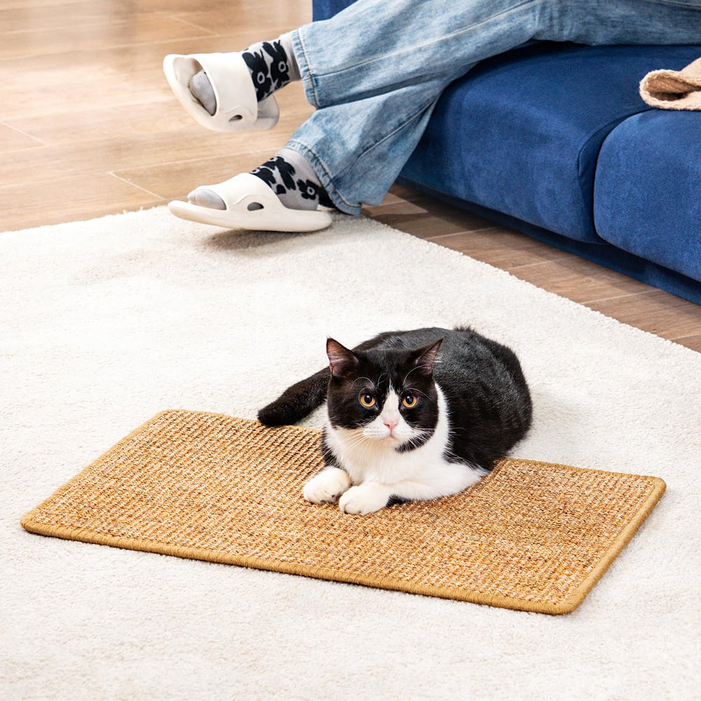 Conlun Cat Scratcher Mat gift-ready packaging for cat lovers.