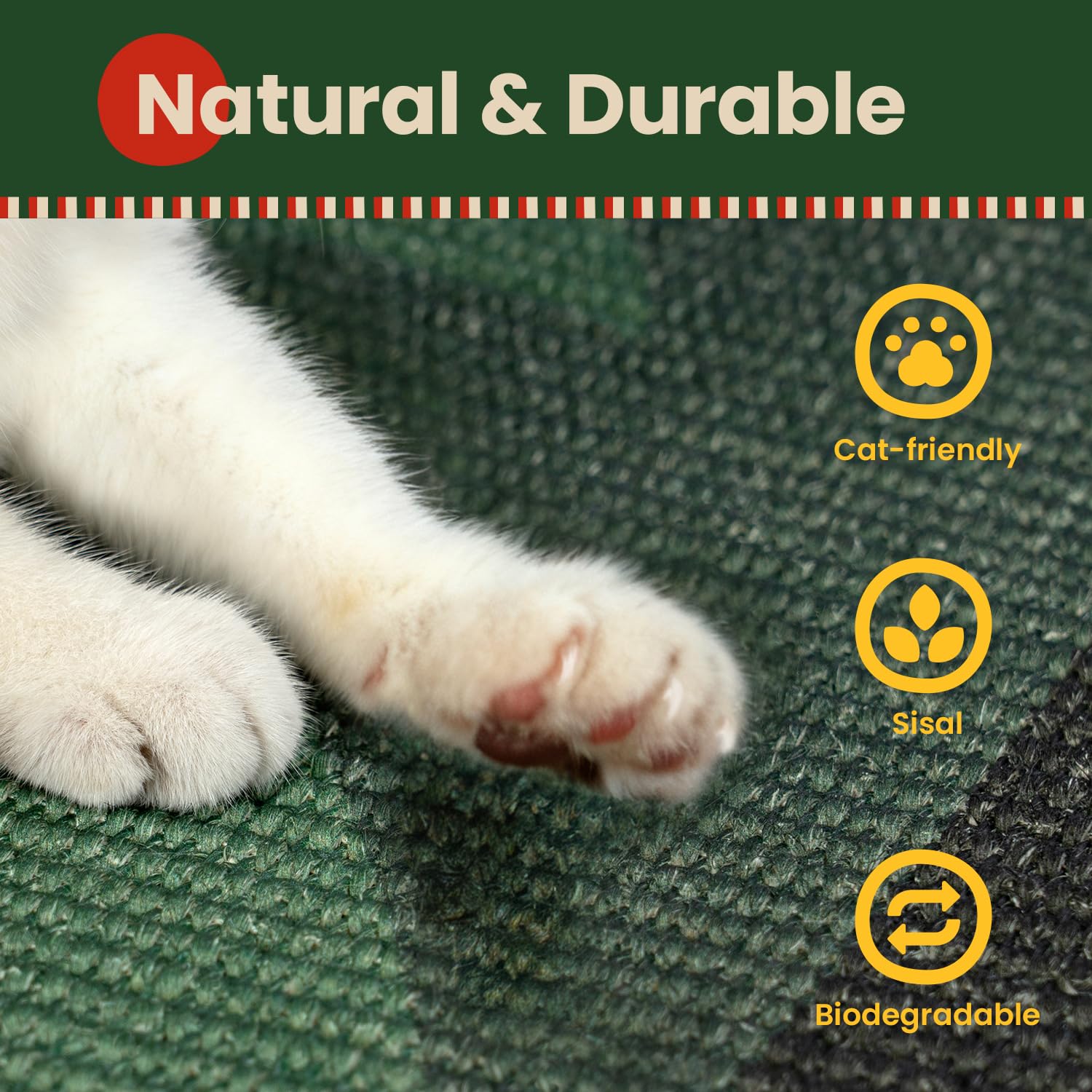 Conlun cat scratcher mat latex base detail conveys grip and stability