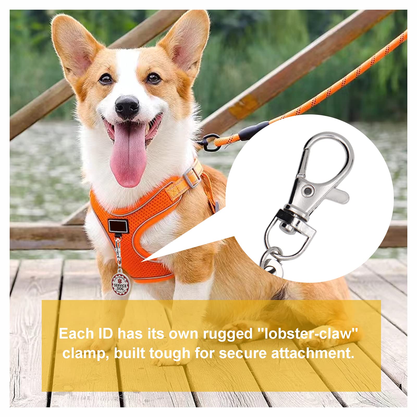 Consio emotional-support-animal tag durable stainless steel with enamel infill.