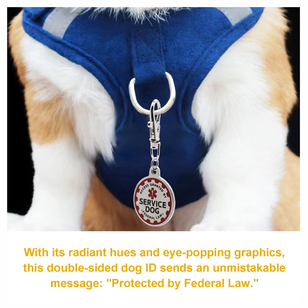 Consio service-dog-tag on collar or harness ready for daily wear.