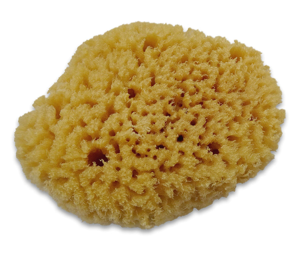 Constantia Pets sponges in a tank humidity scene illustrate moisture retention for a healthier aquarium habitat.