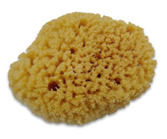 Constantia Pets sponges in a tank humidity scene illustrate moisture retention for a healthier aquarium habitat.