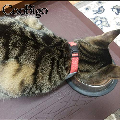 CooBigo cat-head buckle showing 3/8-inch size and dimensions