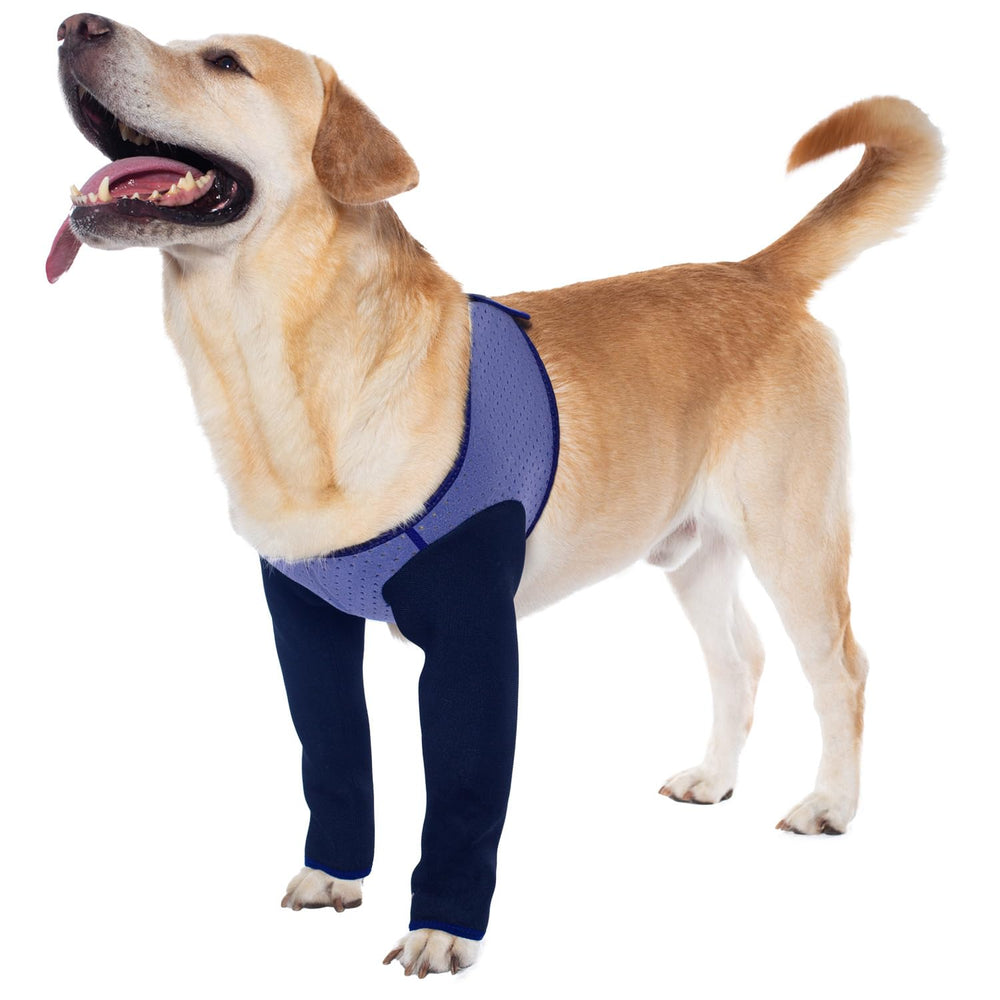 Coodeo dog recovery sleeve 2.5mm-thick material close-up shows durability.