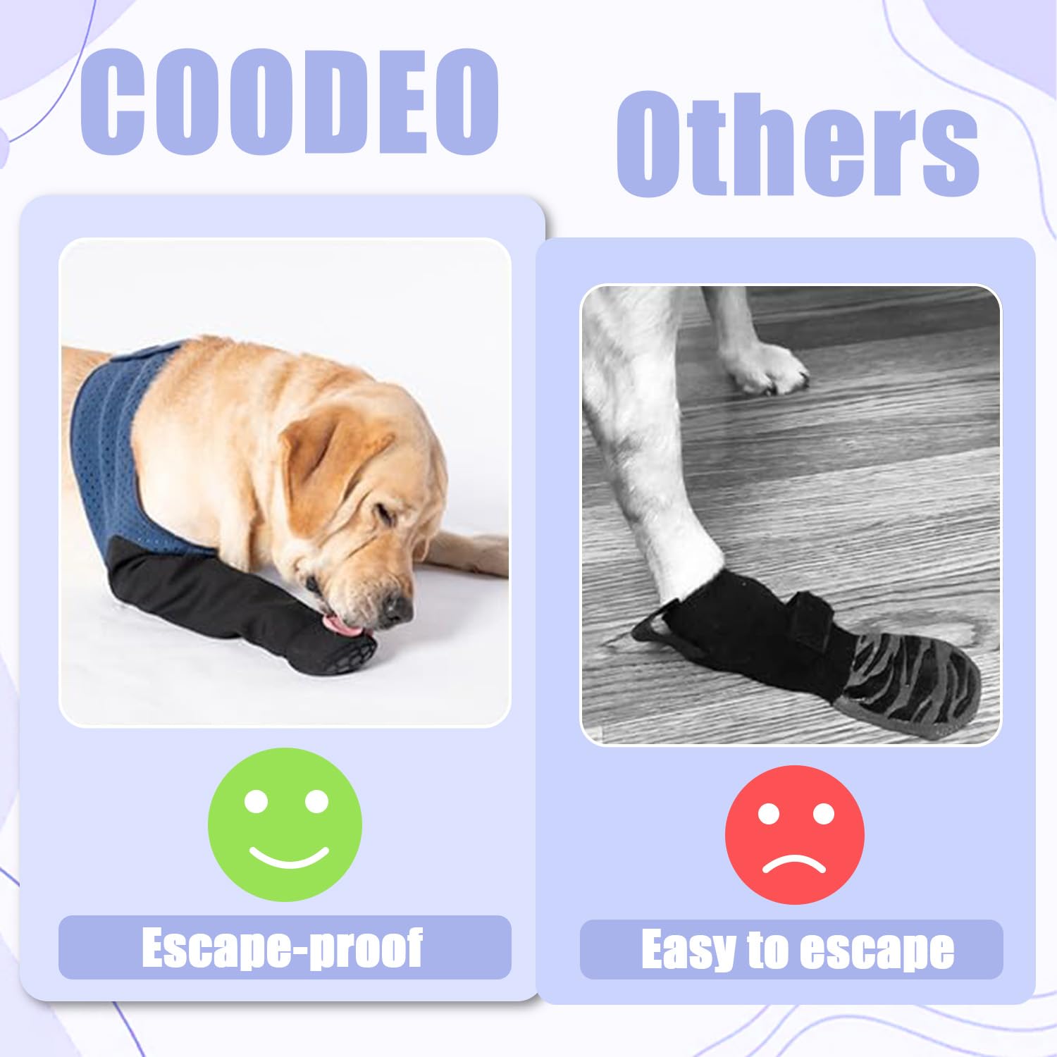 Coodeo brand-support-photo signals responsive help if issues arise after purchase.