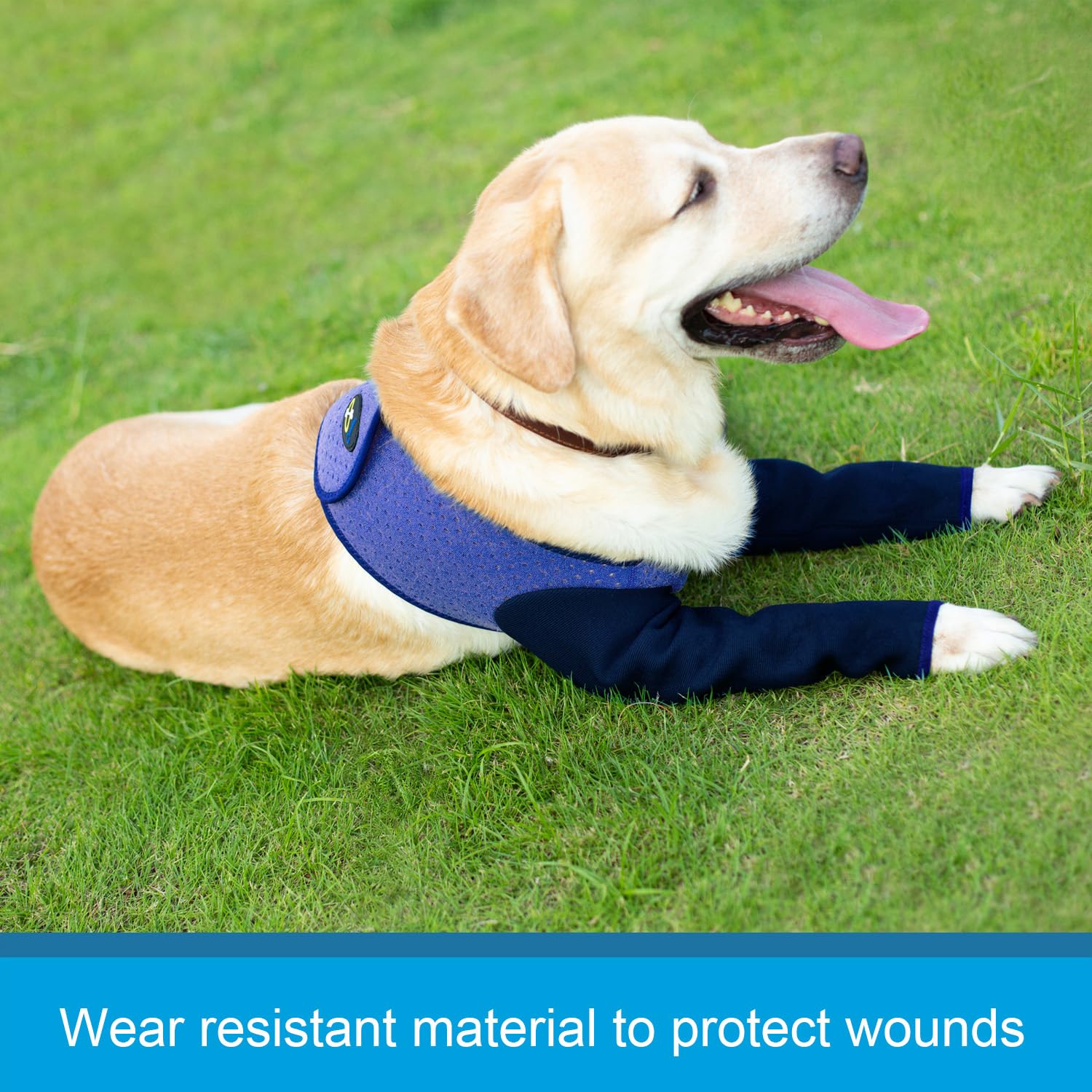 Coodeo breathable perforated trunk area allows airflow to prevent overheating.