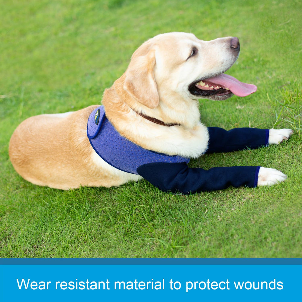 Coodeo breathable perforated trunk area allows airflow to prevent overheating.