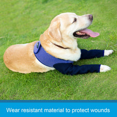 Coodeo breathable perforated trunk area allows airflow to prevent overheating.