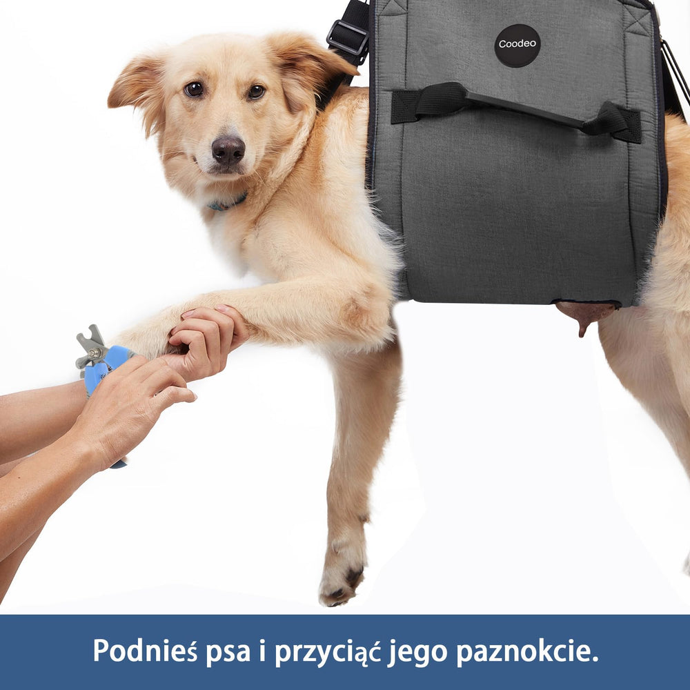 Coodeo dog carry sling 2xl-black worn, versatile for larger dogs