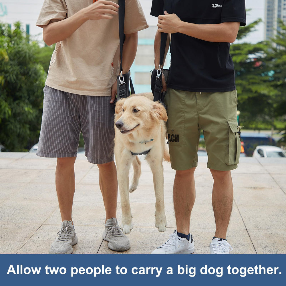Coodeo dog carry sling emergency-on-dog image for quick relocation