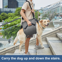 Coodeo dog carry sling nail trimming use for safe handling