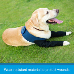 Coodeo dog recovery sleeve breathable trunk-area close-up emphasizes airflow and comfort
