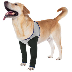 Coodeo dog recovery sleeve grey 2XL on dog during activity provides abrasion protection.