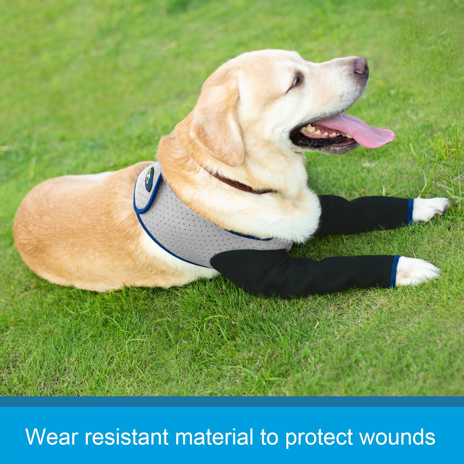 Coodeo dog recovery sleeve grey 2XL perforated trunk for breathable wear.