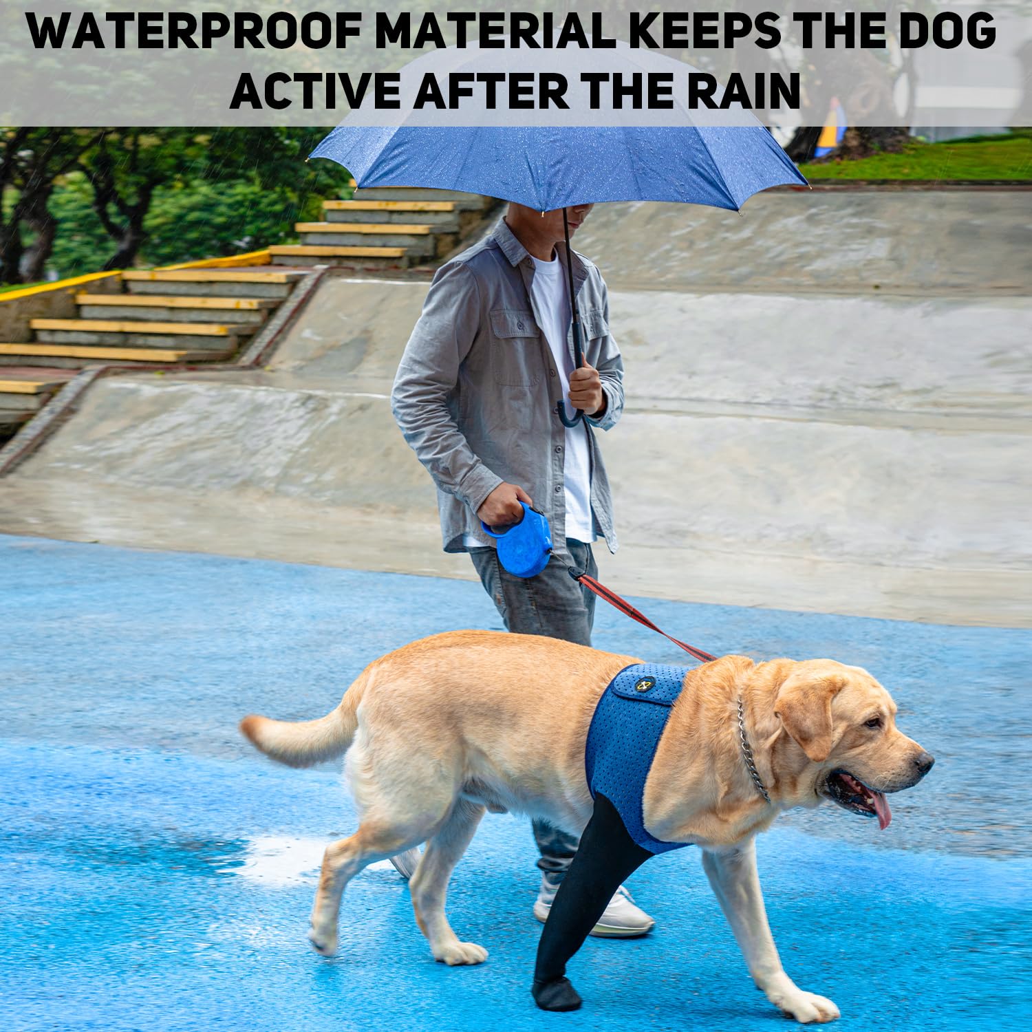 Coodeo paw-protectors-non-slip-bottom maintain indoor traction and reduce slips on slick floors.