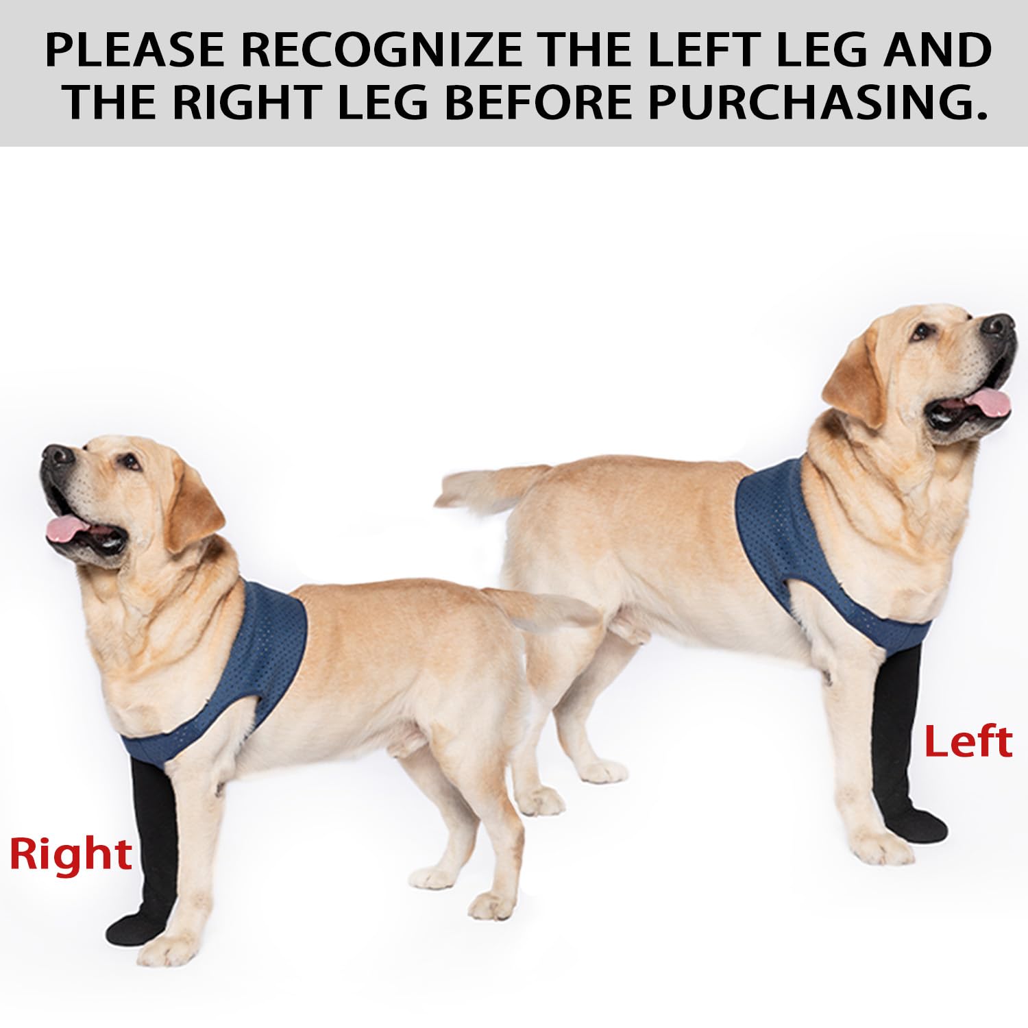 Coodeo waterproof-sleeve-shoes guard paws against moisture for day-long use.