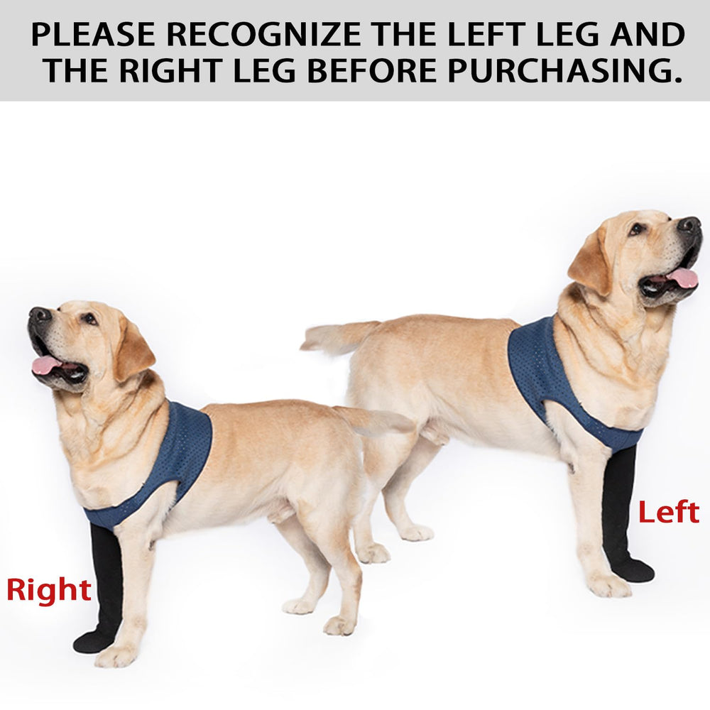 Coodeo waterproof-sleeve-shoes guard paws against moisture for day-long use.