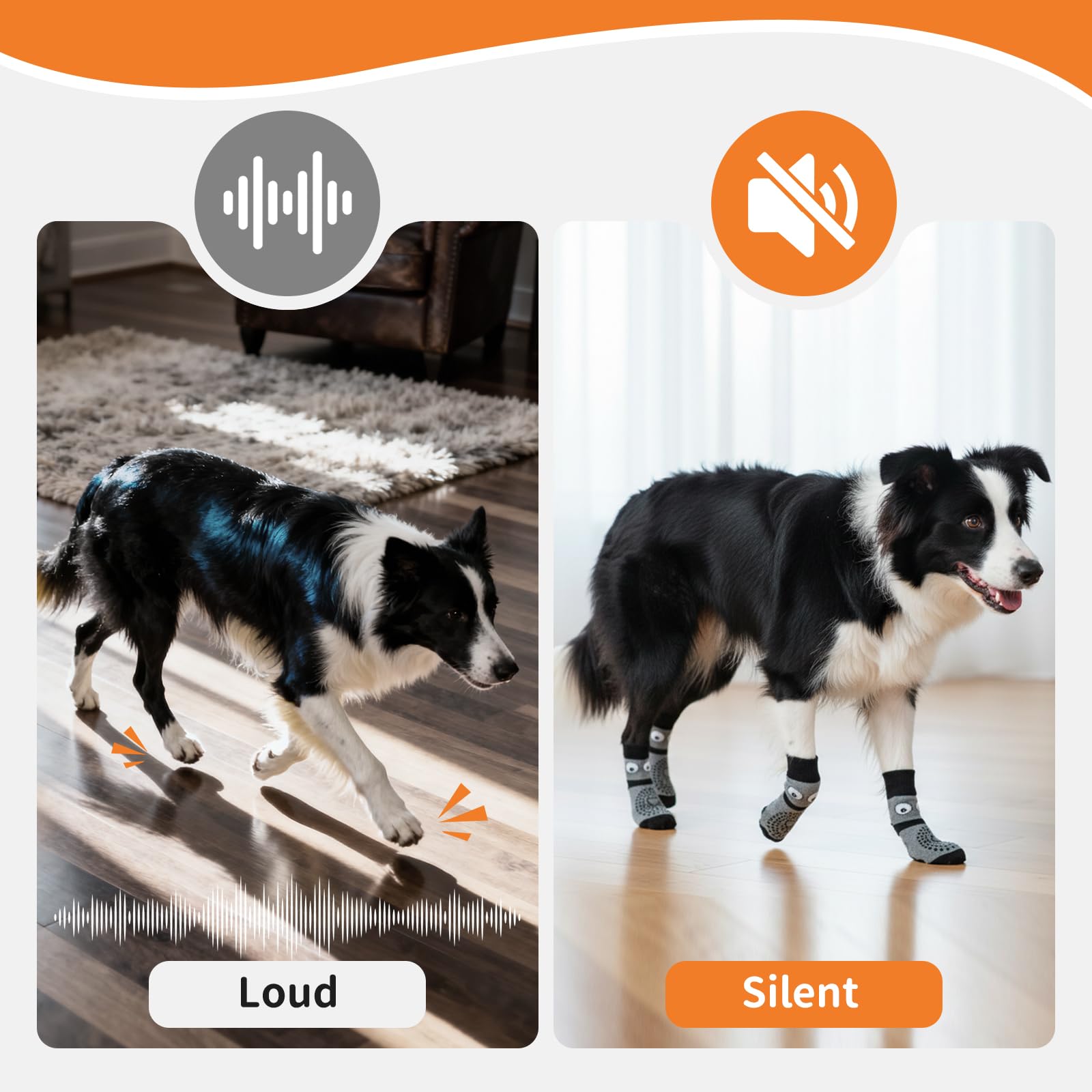 COOHAMS dog socks on hot pavement show paw protection outdoors
