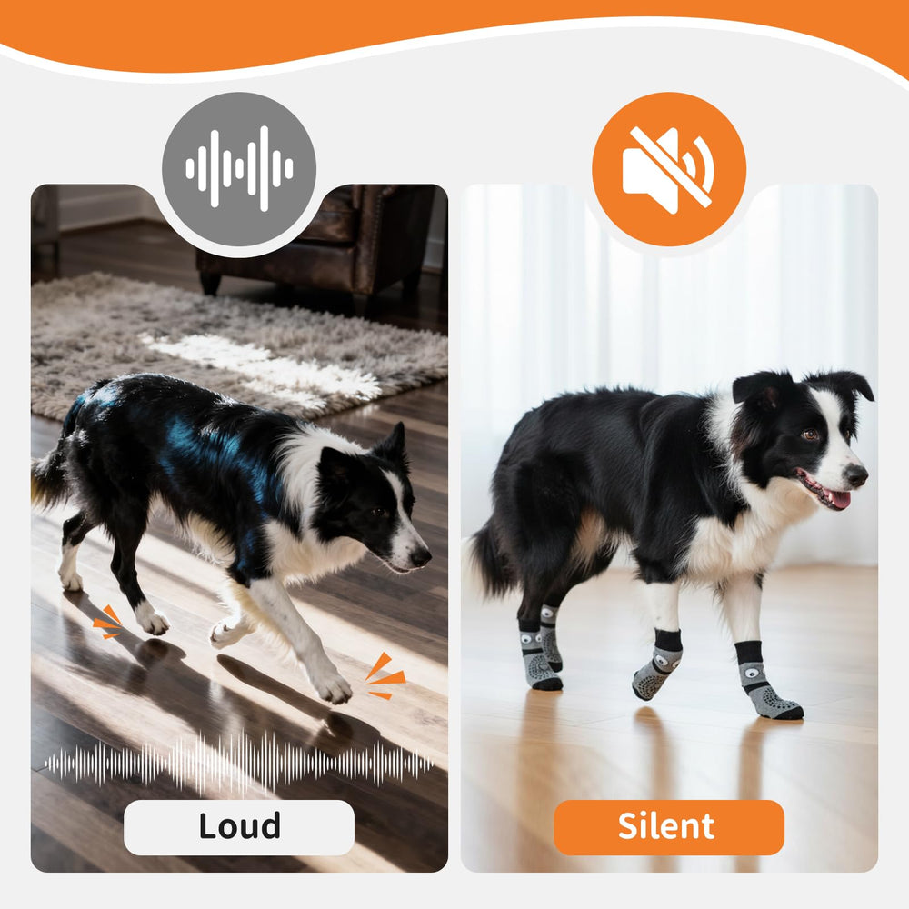COOHAMS dog socks on hot pavement show paw protection outdoors