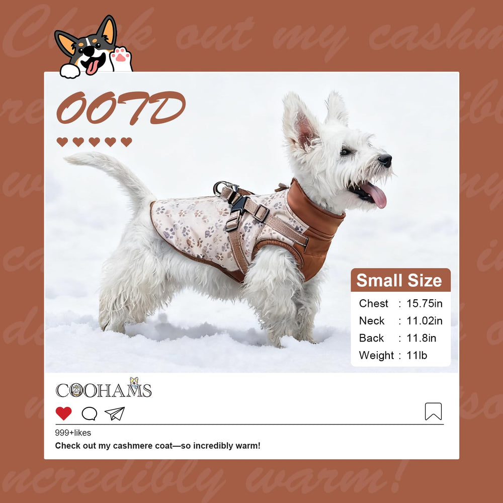 COOHAMS dog winter coat side profile shows windproof layer for breezy hikes