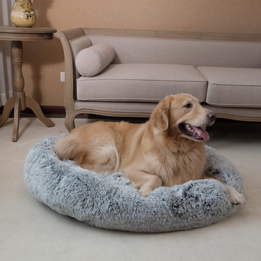 Coohom washable pet bed easy to clean and maintain freshness.