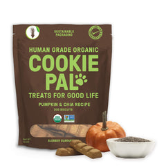 CookiePal Pumpkin Chia dog treats close-up showing crunchy texture ideal for training rewards.