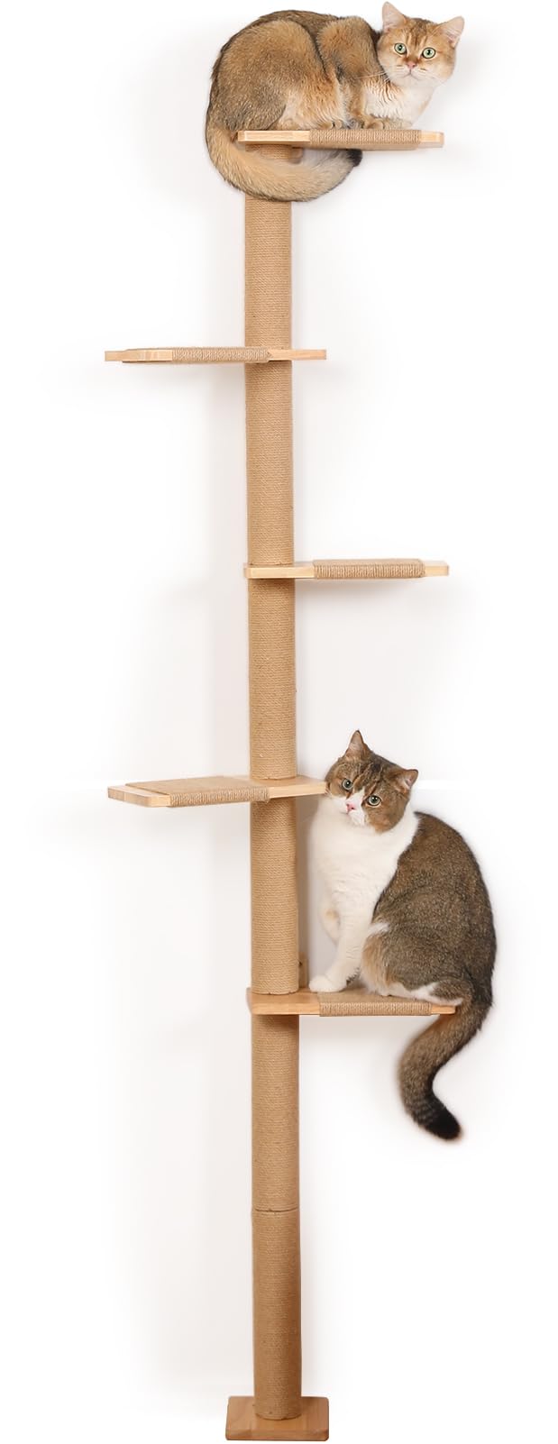 COOLEX 81-inch cat tree offers a high lookout and secure perch.