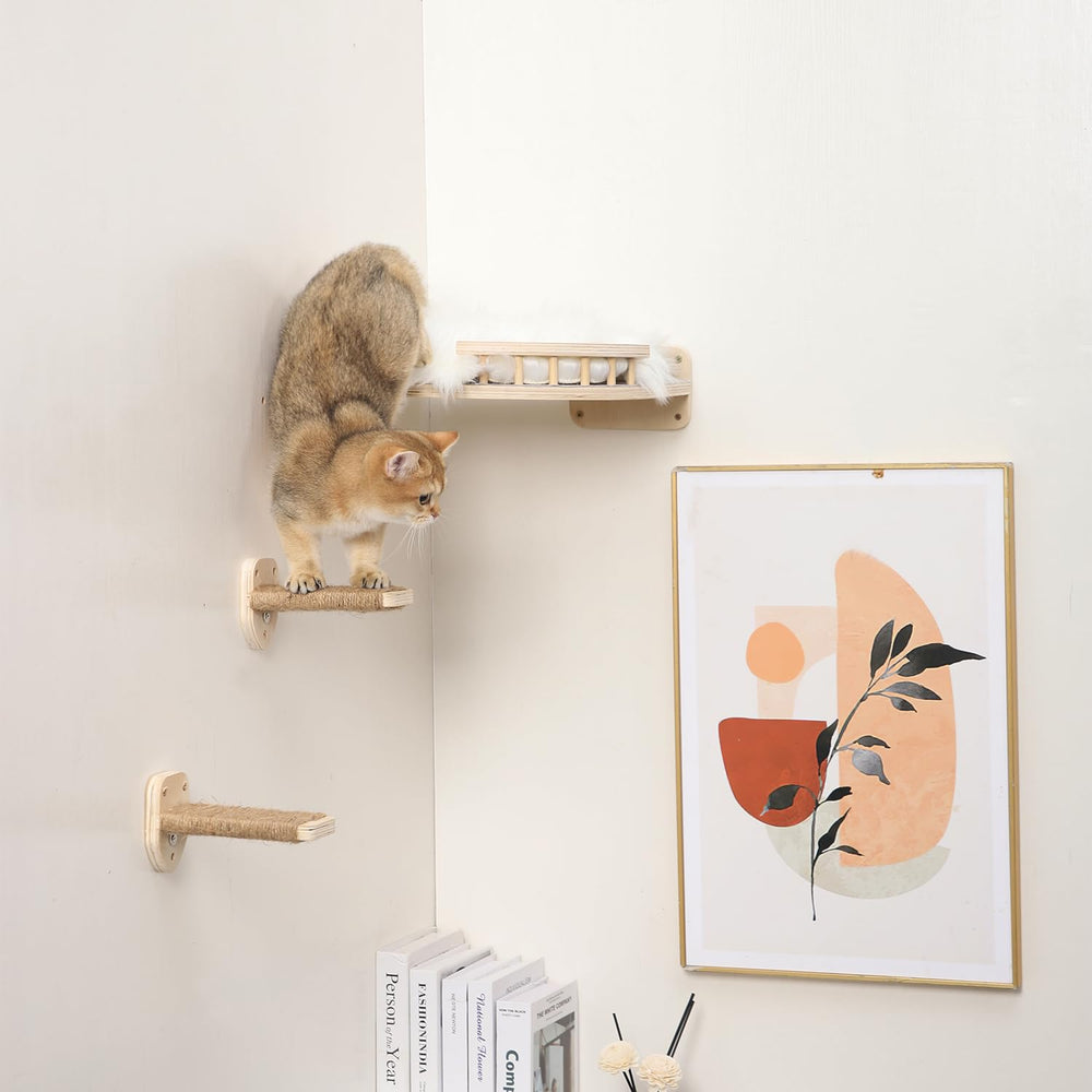 COOLEX cat wall shelves closeup wood texture enhances room decor