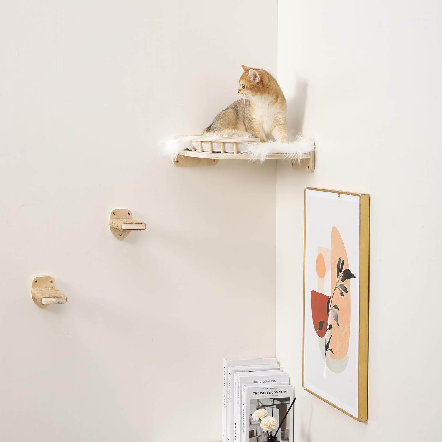 COOLEX cat wall shelves hammock bed shows cozy rest perch for lounging