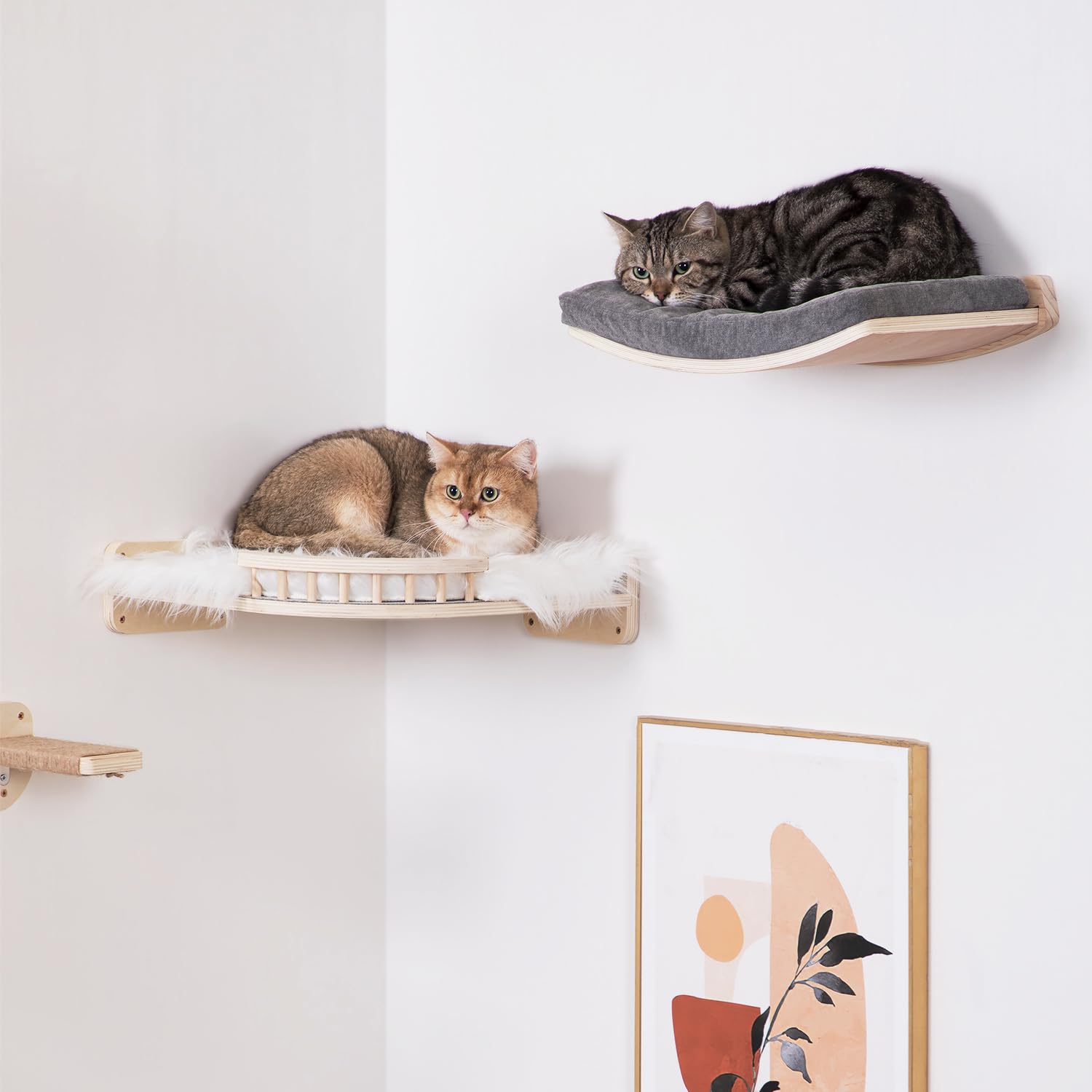 COOLEX curved cat shelf cushions show removable covers for easy cleaning.