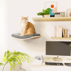 COOLEX curved cat shelf close-up highlighting curved design and wood texture.
