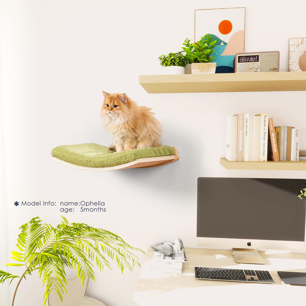 COOLEX cat on curved perch enjoys elevated observation in a calm setting.