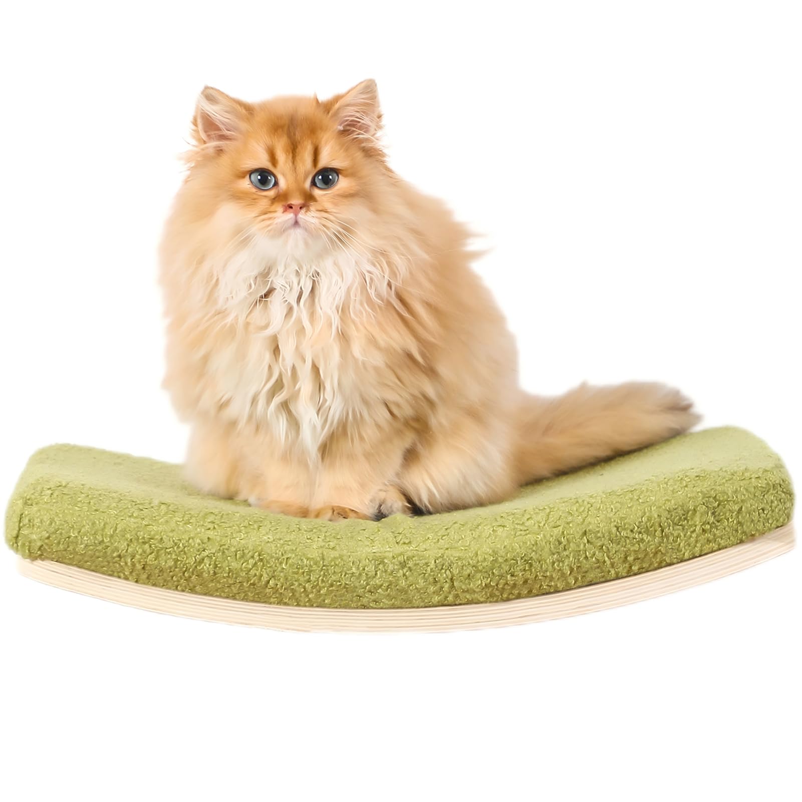 COOLEX curved cat shelves wall bed assembly shows sturdy mortise and tenon mounting.