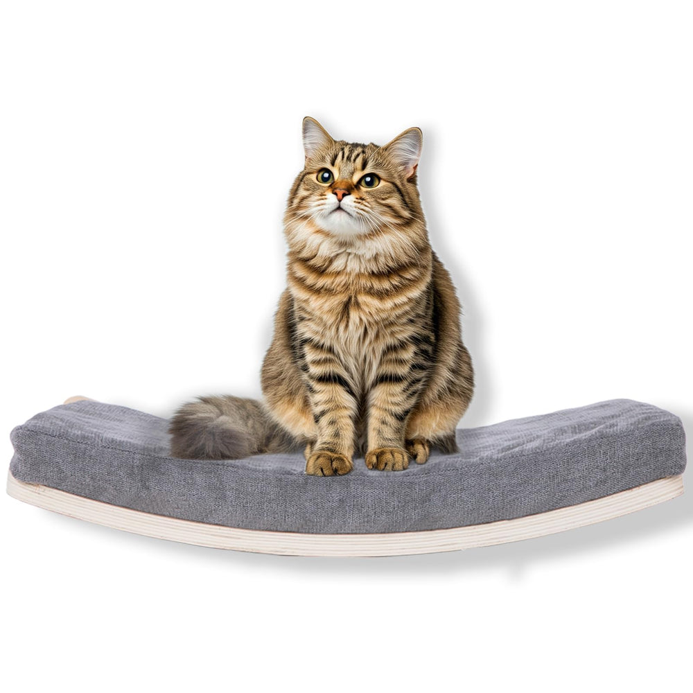 COOLEX curved cat shelf wall bed setup demonstrating space-saving floating perch.