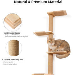 COOLEX detachable platform with spiral ladder enables DIY customization for cats.