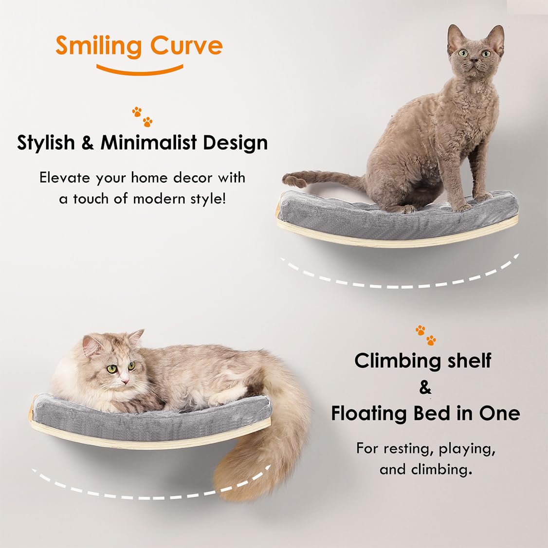 COOLEX floating wall bed perches offer elevated room observation.